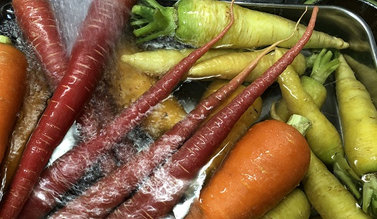 無農薬自然栽培人参