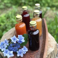 夏のママンチュール（ジュースの素）作っています。その１