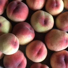 強風に負けてしまった桃たちを　Hozu ままやのコンフィチュール（ママンチュール）に