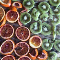 無農薬みかん　ロードライフルーツ　できました！