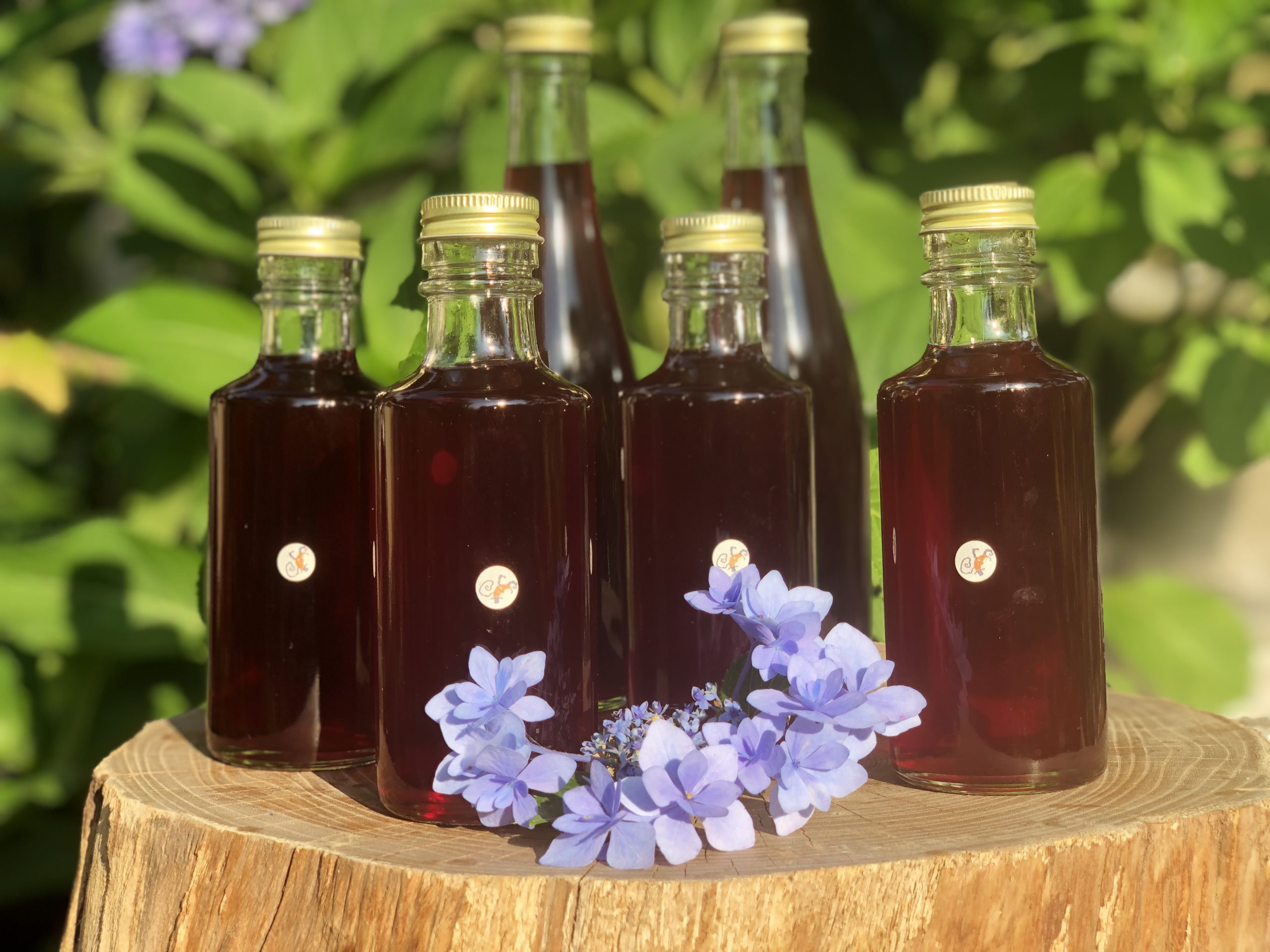 Hozuままやの畑の無農薬自然栽培赤紫蘇を使って赤紫蘇ジュースの素ママンチュール