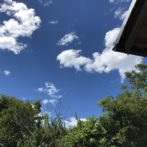 藍染目の色は青空の色