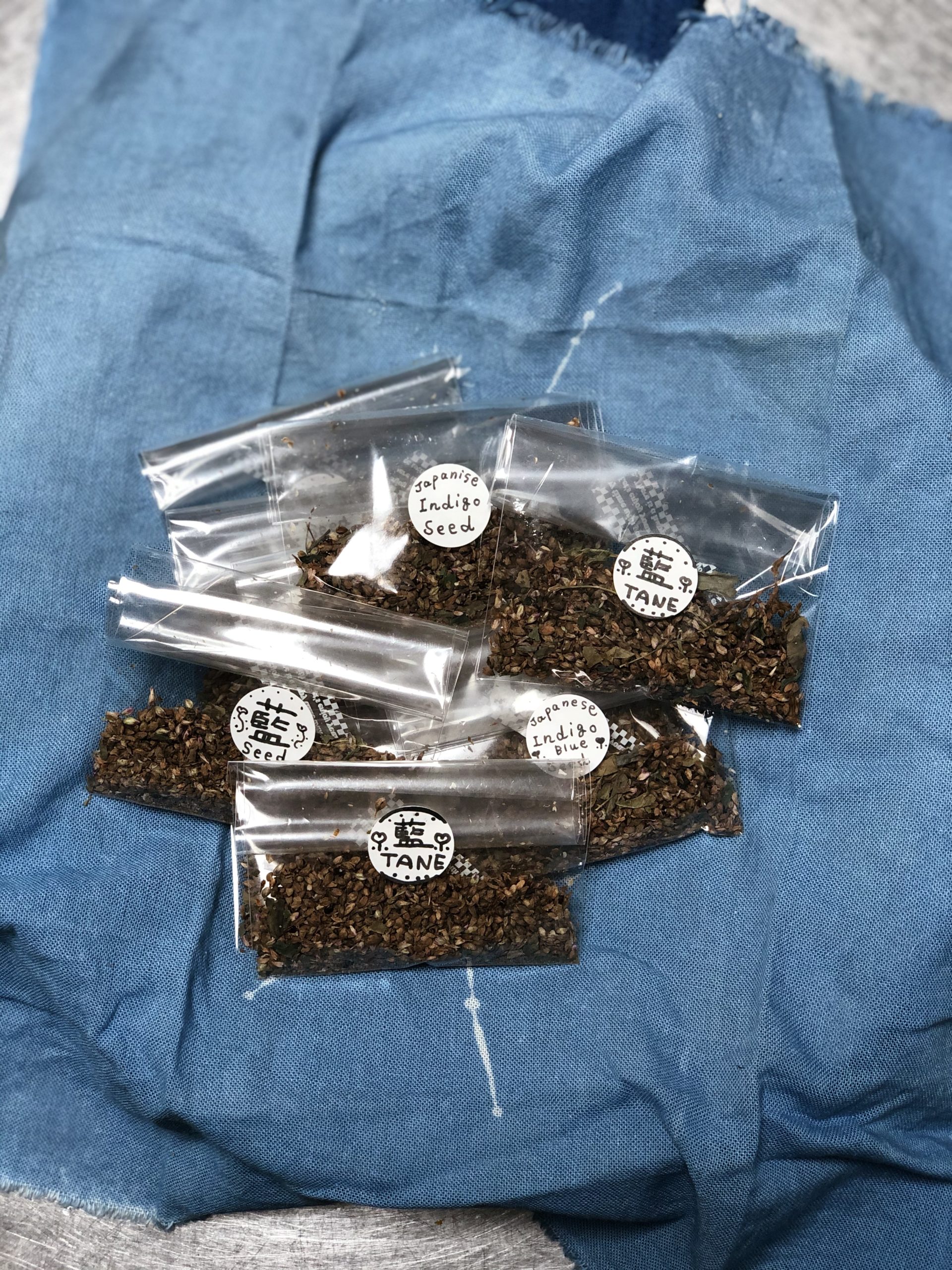 無農薬自然栽培Hozu ままやの蓼藍を自家採取した種