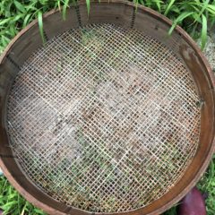 土用の日の　Hozuままやの仕事は、、