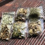 礼茶天日干し野草茶