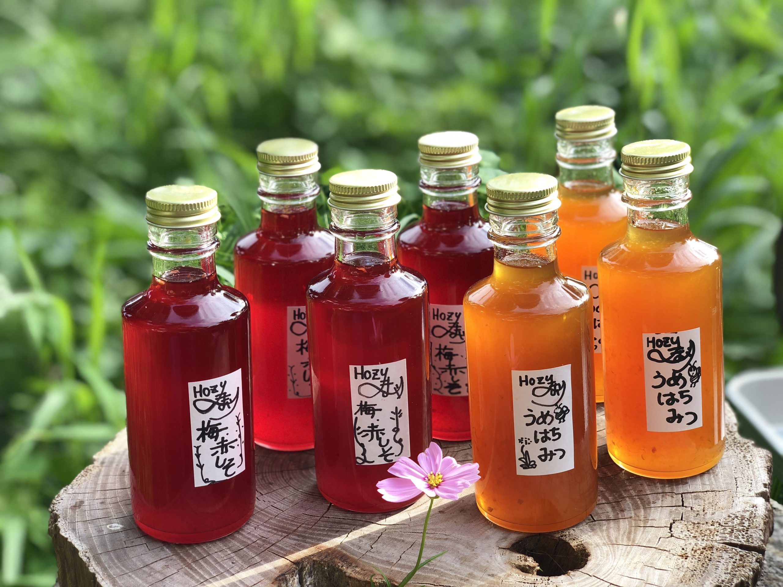 Hozu ままやの無農薬自然栽培夏のコーディアルママンチュール