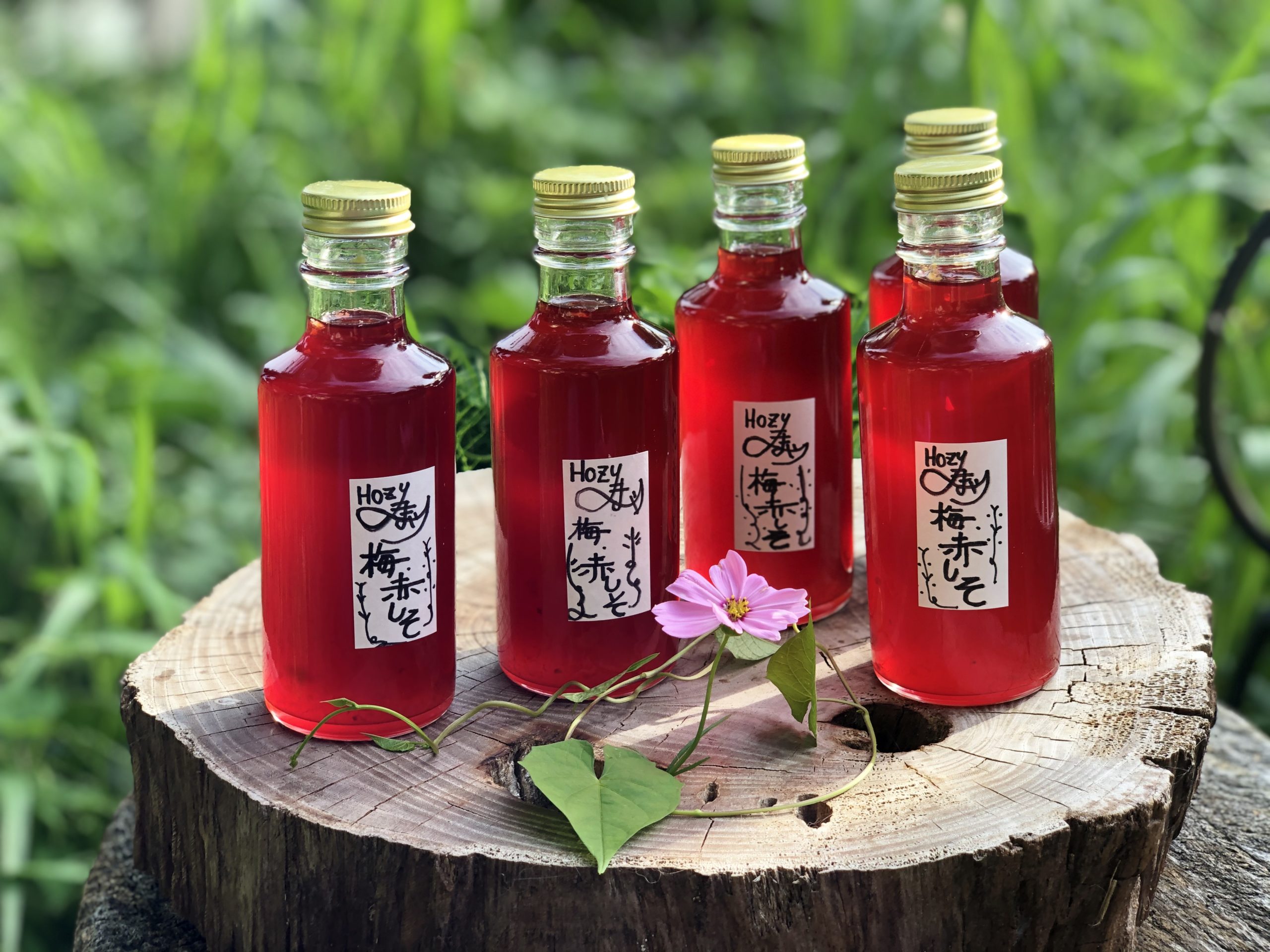 Hozu ままやの梅と赤紫蘇のジュースの素ママンチュール