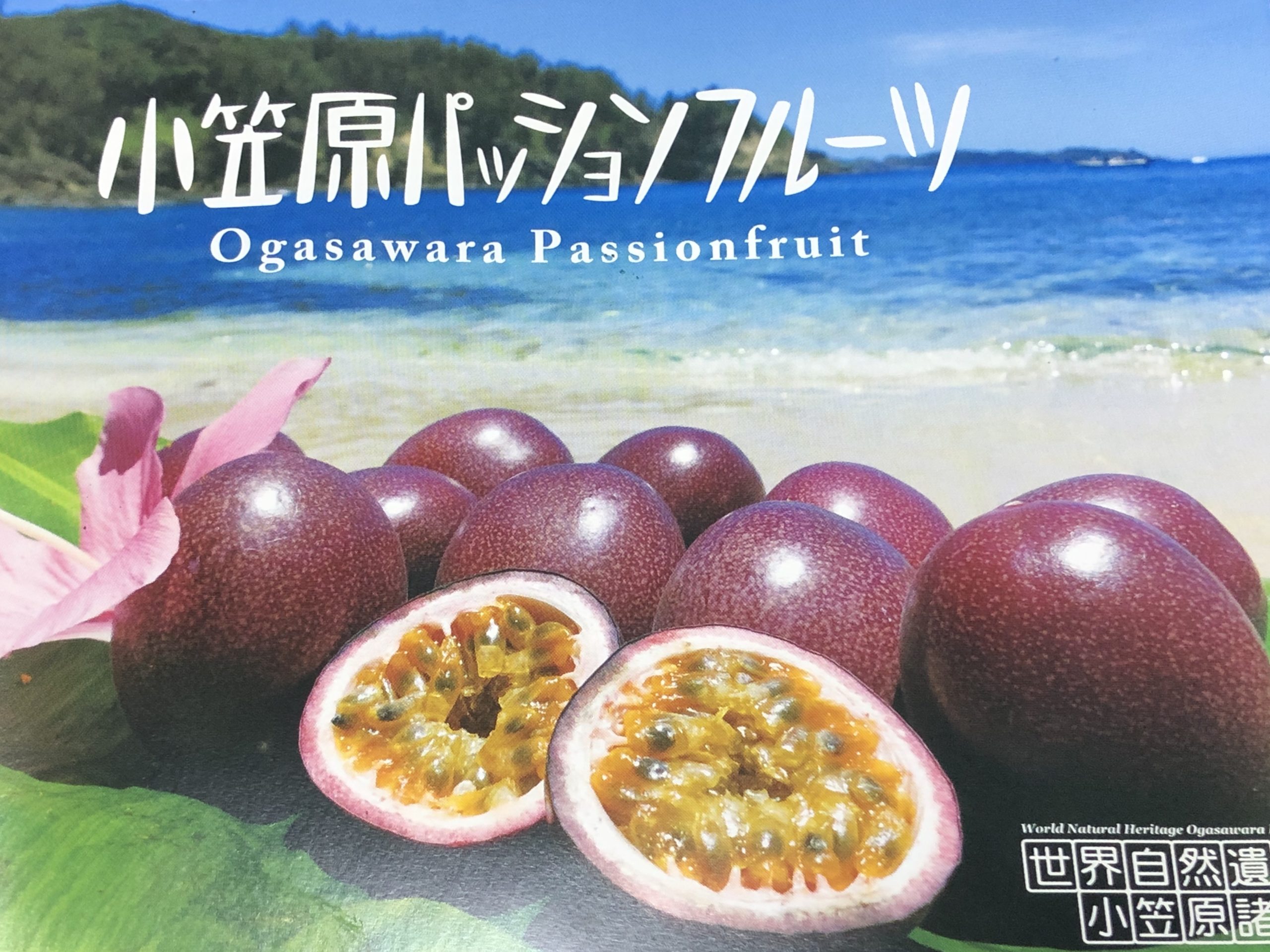 小笠原パッションフルーツ