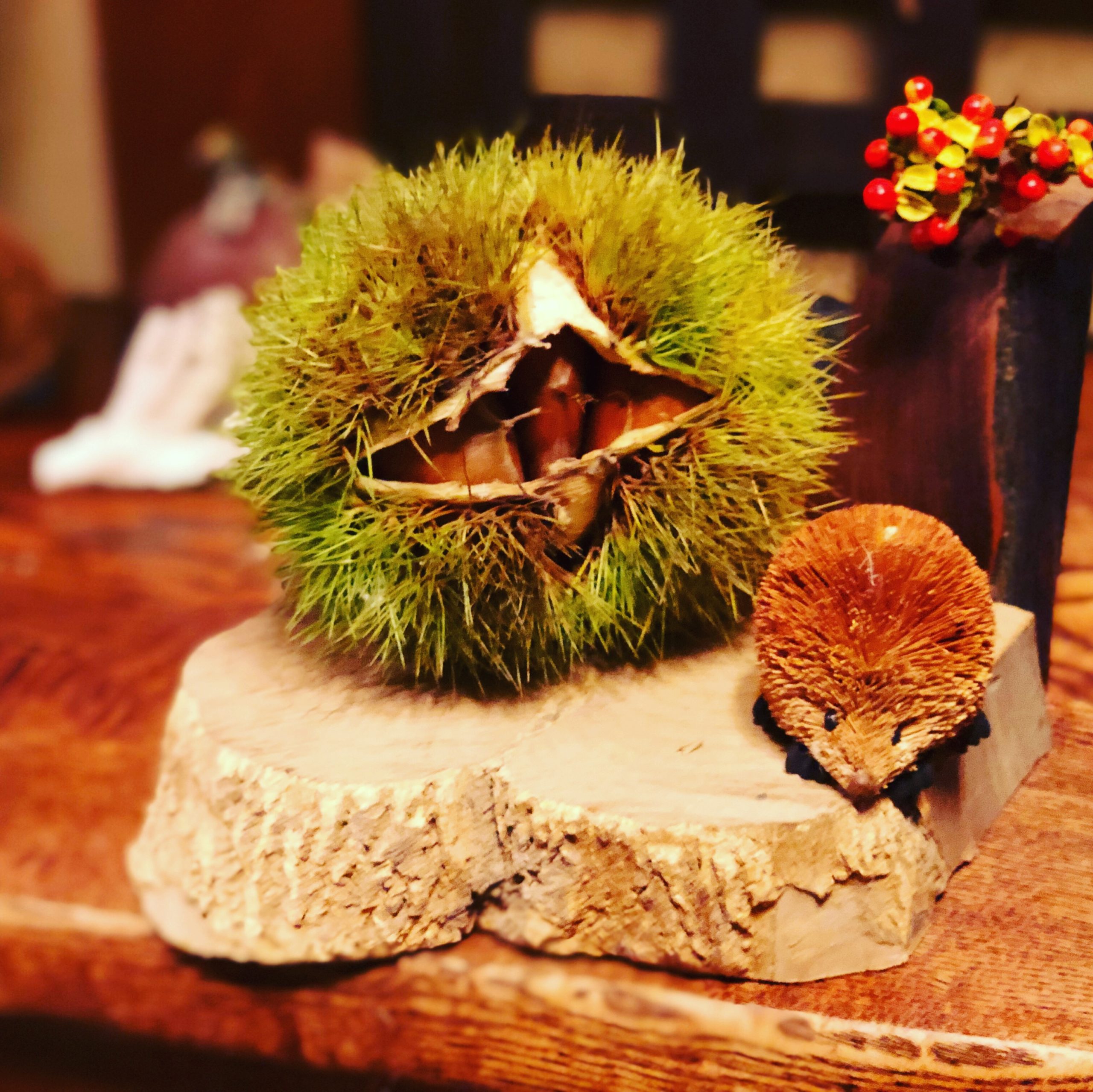 Hozu  ままやの無農薬自然栽培の丹波栗