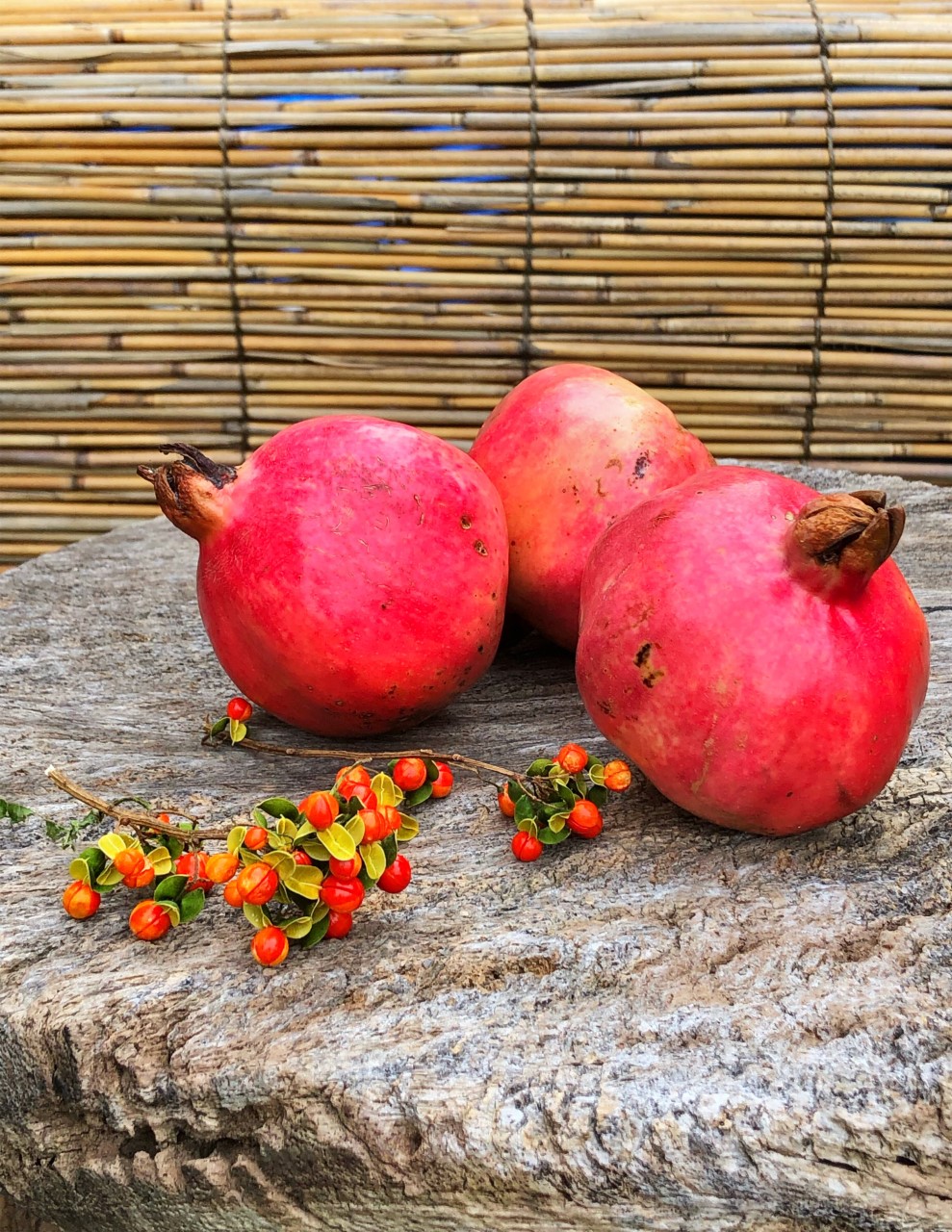 特定商取引に基づく表記