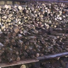 自然の驚異・自然の恵み　