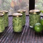 Hozu ままやの青蜜柑コンフィチュール(ママンチュール)