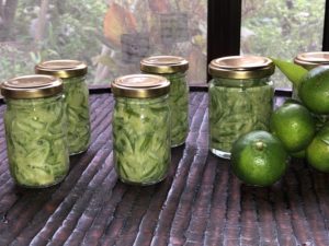 Hozu ままやの青蜜柑コンフィチュール（ママンチュール）