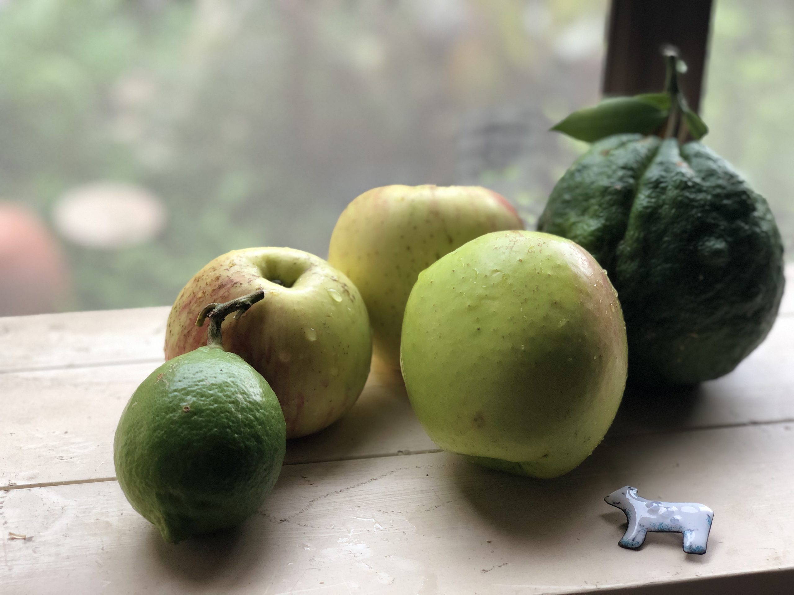 プライバシーポリシー