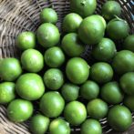 Hozu ままやの無農薬自然栽培の青蜜柑