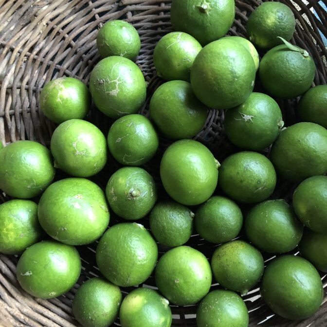 Hozu ままやの無農薬自然栽培の青蜜柑