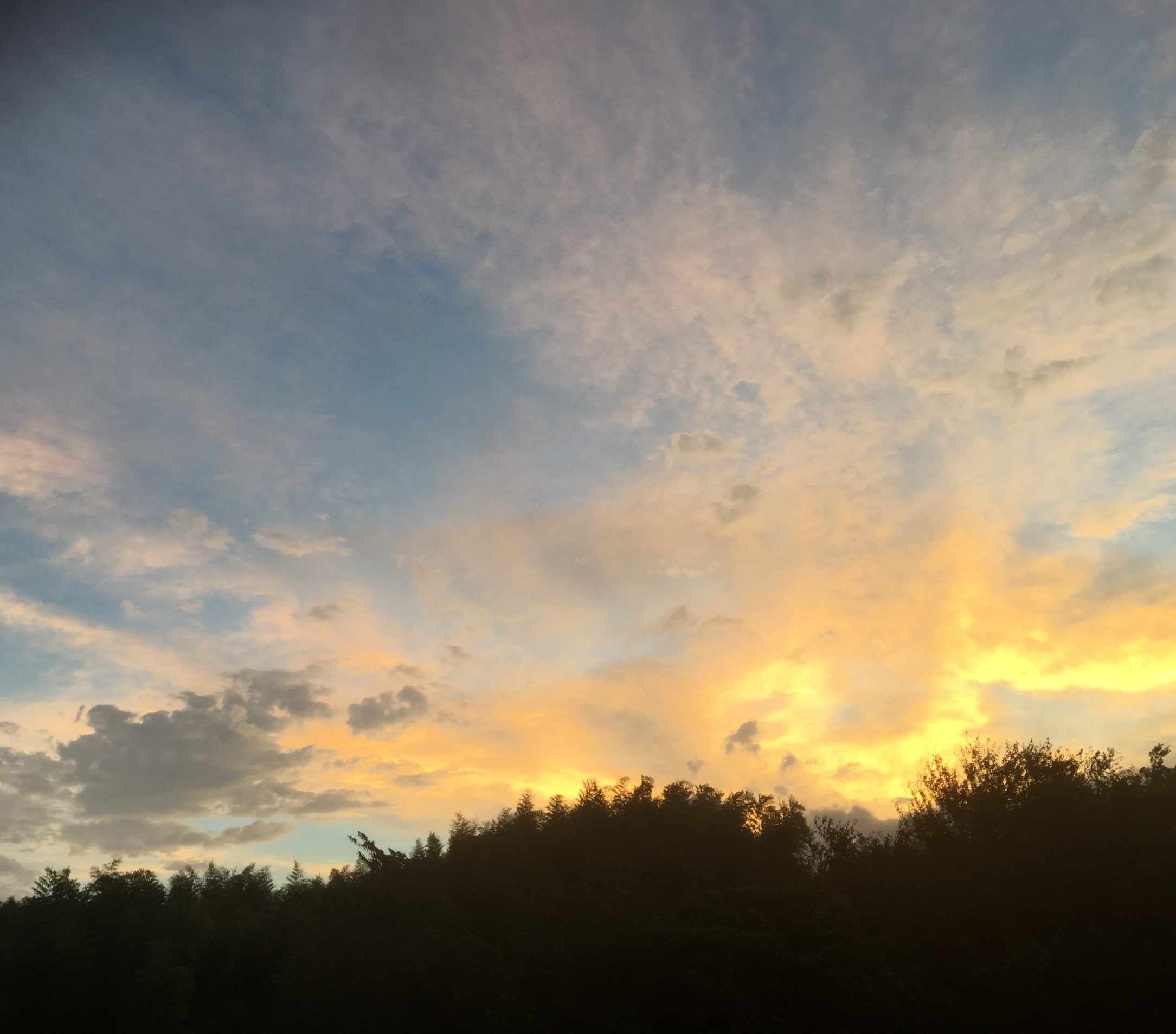 被害があった翌日のお空