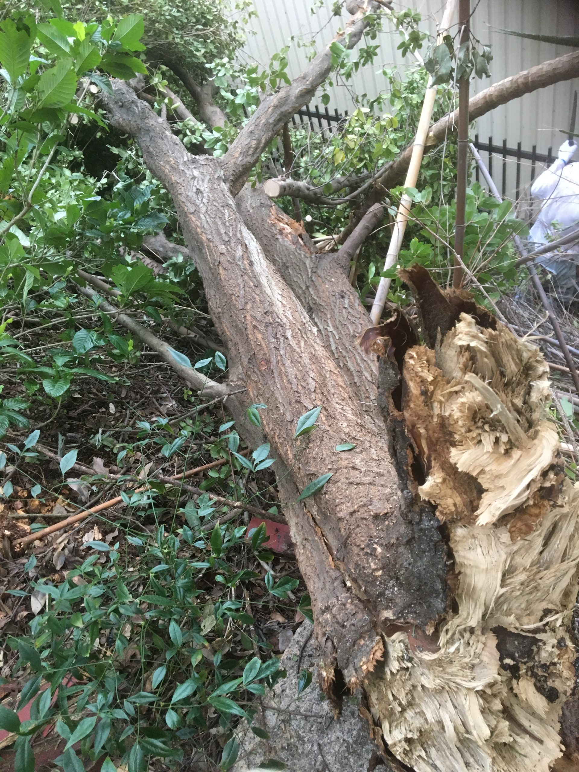 ２０１８・９月台風２１号の被害