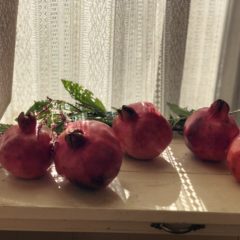 無農薬ザクロ・ママンチュールへの道！