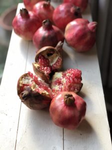 紅き実の無農薬ザクロ