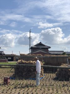 無農薬無肥料初めての米作りはざかけ改修作業