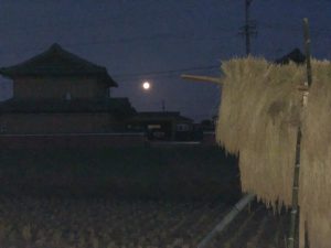 無農薬無肥料の初めてのお米作りはざかけから見る中秋の満月
