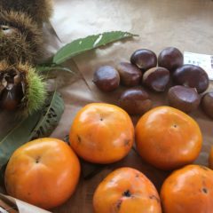 『Hozu ままや』11月の出店・イベント予定