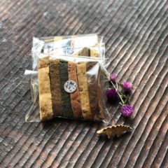 ツクル森2020イベント！ワクワク、ドキドキ！