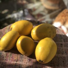 のどの炎症を改善する「のどに優しい」花梨（かりん）を使った商品