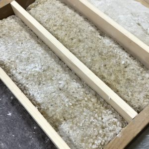 発芽玄米 切り餅