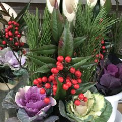 『Hozu ままや』1月の出店・イベント予定