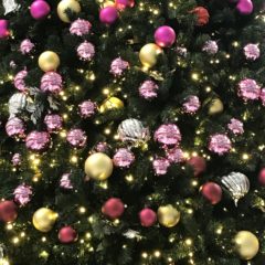 『Hozu ままや』12月の出店・イベント予定