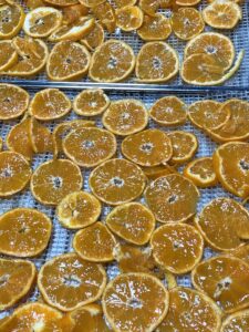 Hozuままやの畑の無農薬自然栽培のみかん