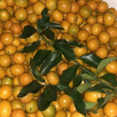 Hozu　ままやの仕事とは！