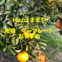 春だ！ビタミンいっぱい　美味しさいっぱい！マーマレードの勧め