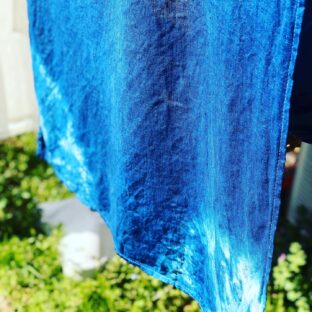 発酵　醸す藍染　体験会　