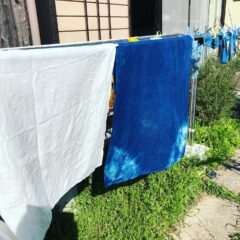 正藍染め　日本の古来からある貴重な藍建てをしたい！