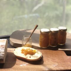 キンカン　ママンチュールできました！