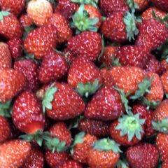 ２０２１．４月のイベント予定