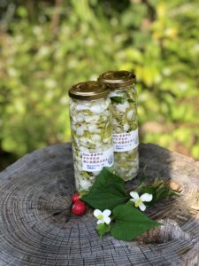 Hozu ままやの無農薬自然栽培のドクダミのお花エキス