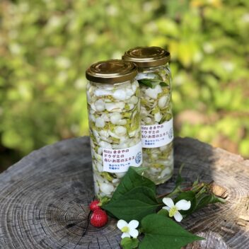 ドクダミのお花　を使ったエキス