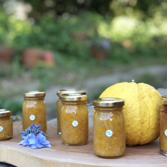 Hozu ままやの無農薬自然栽培の八朔のマーマレード