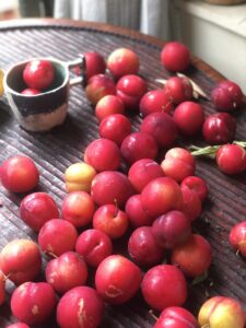 Hozu ままやの無農薬自然すもも