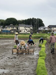 2021年田植えの様子