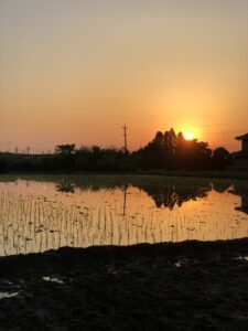 夕焼けまで続いた田植え仕事