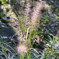 心を入れ変えて、１０月は！