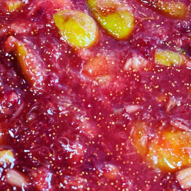 いちじくとルバーブのママンチュール