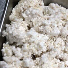 麹作りの季節がやってきた！