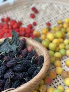 Hozuままやの庭や畑の実り