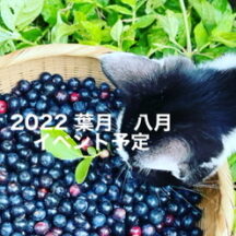 葉月　八月イベント予定